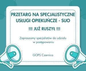 Ogłoszenie o zamówieniu: