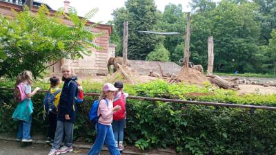 IMG-20250709-WA0026.jpg