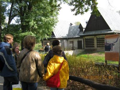 zdjęcia 052.jpg