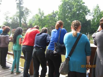 IMG_4268.JPG