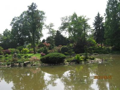 IMG_4283.JPG