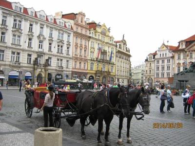 IMG_5491.JPG