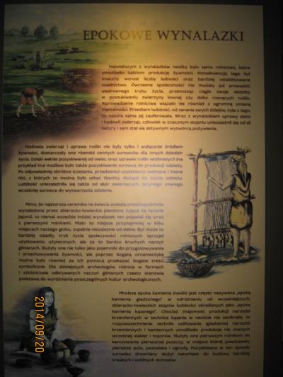 IMG_5590.JPG