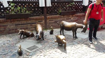20170624_140858.jpg